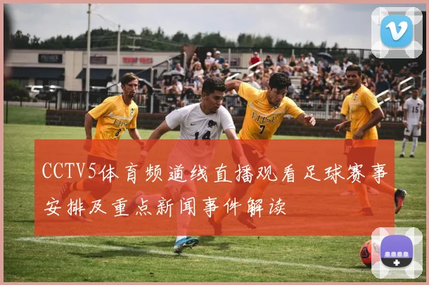 CCTV5体育频道线直播观看足球赛事安排及重点新闻事件解读