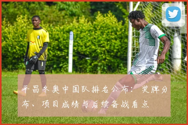 平昌冬奥中国队排名公布：奖牌分布、项目成绩与后续备战看点